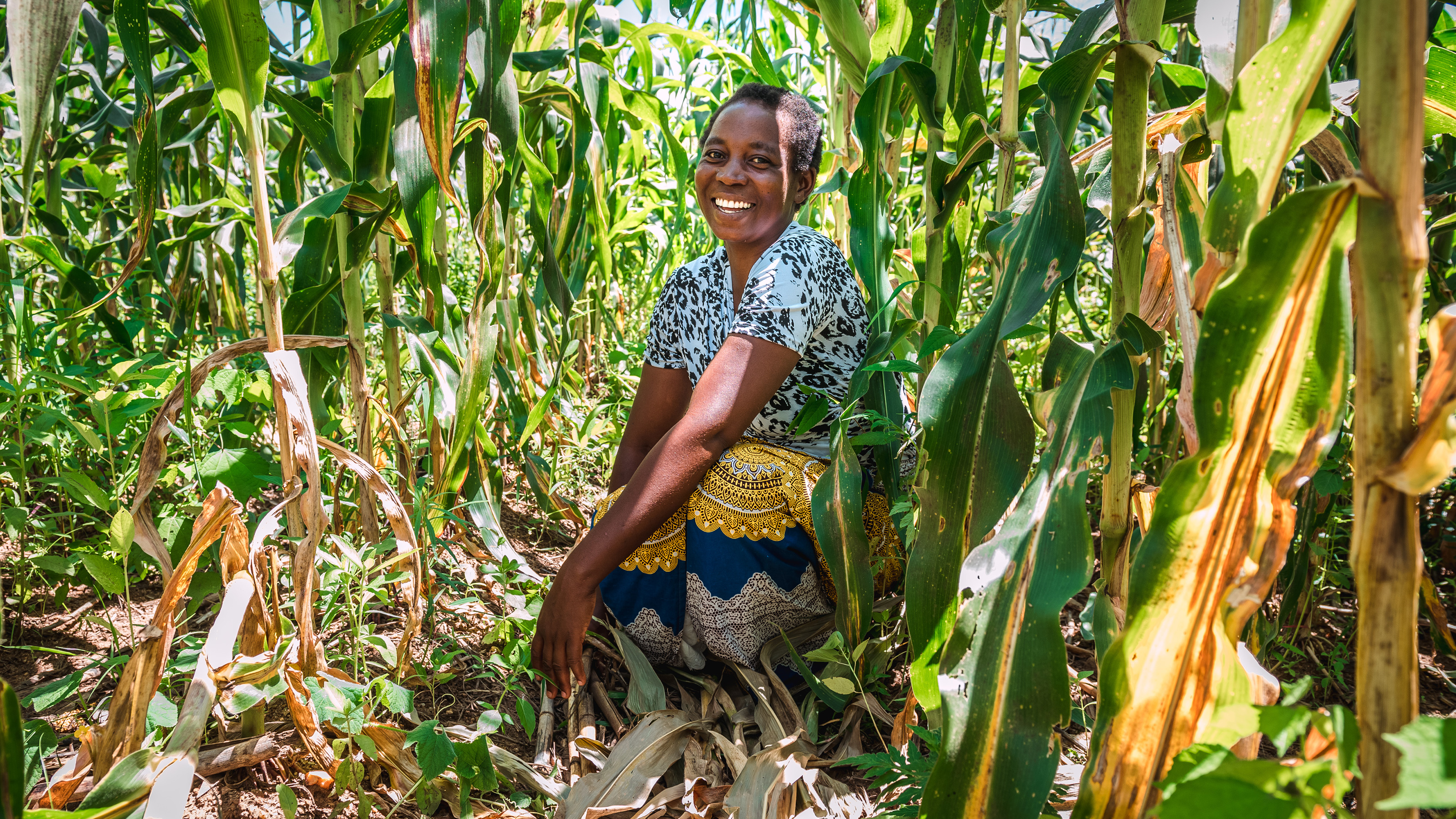 Photo of Irene standing in her maize field. Credit Alex Baker.