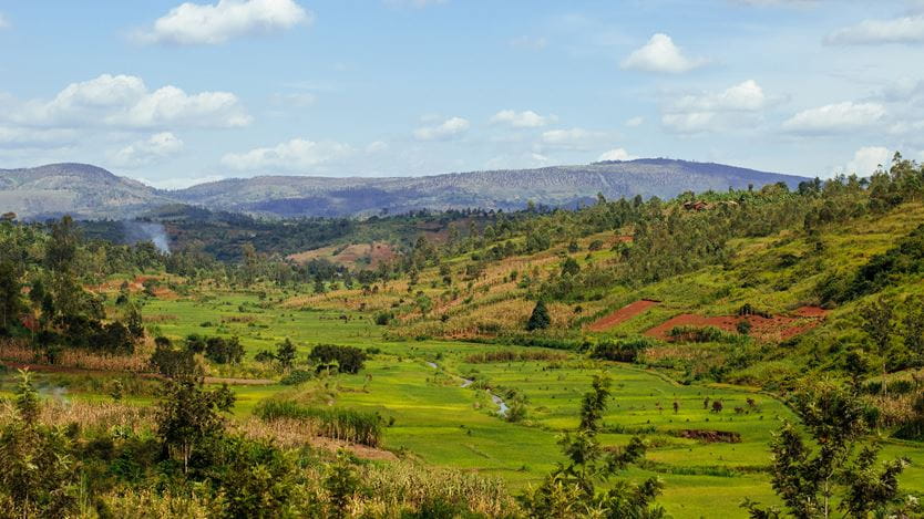 Landscape of rolling green hills