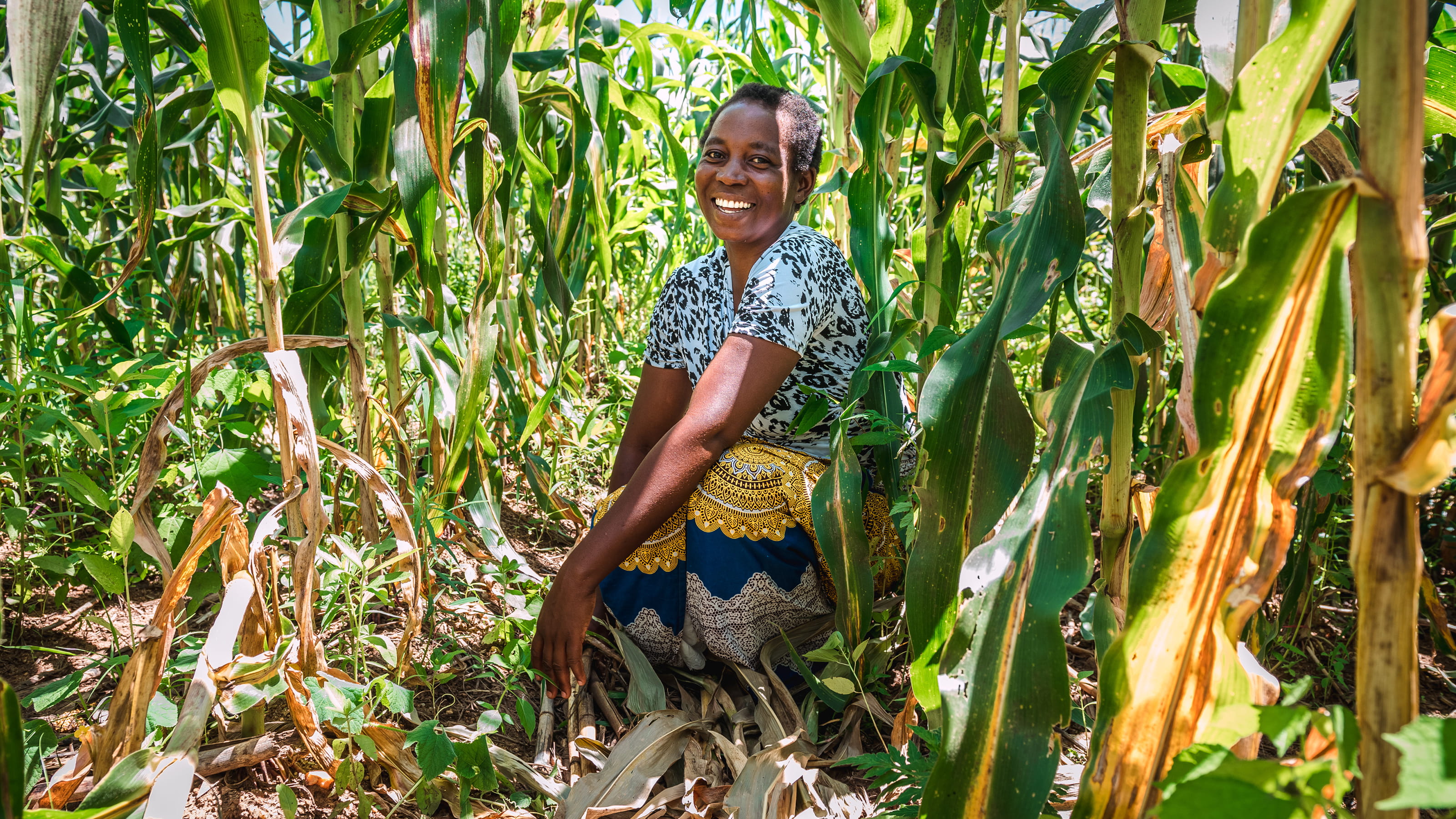 Photo of Irene standing in her maize field. Credit Alex Baker.