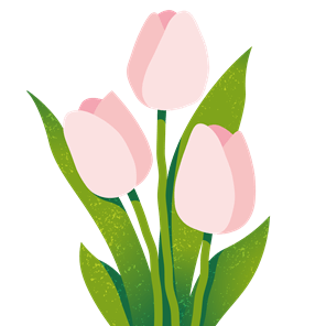 Tulip