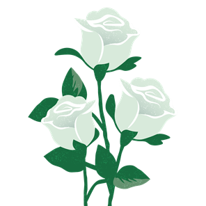 White rose