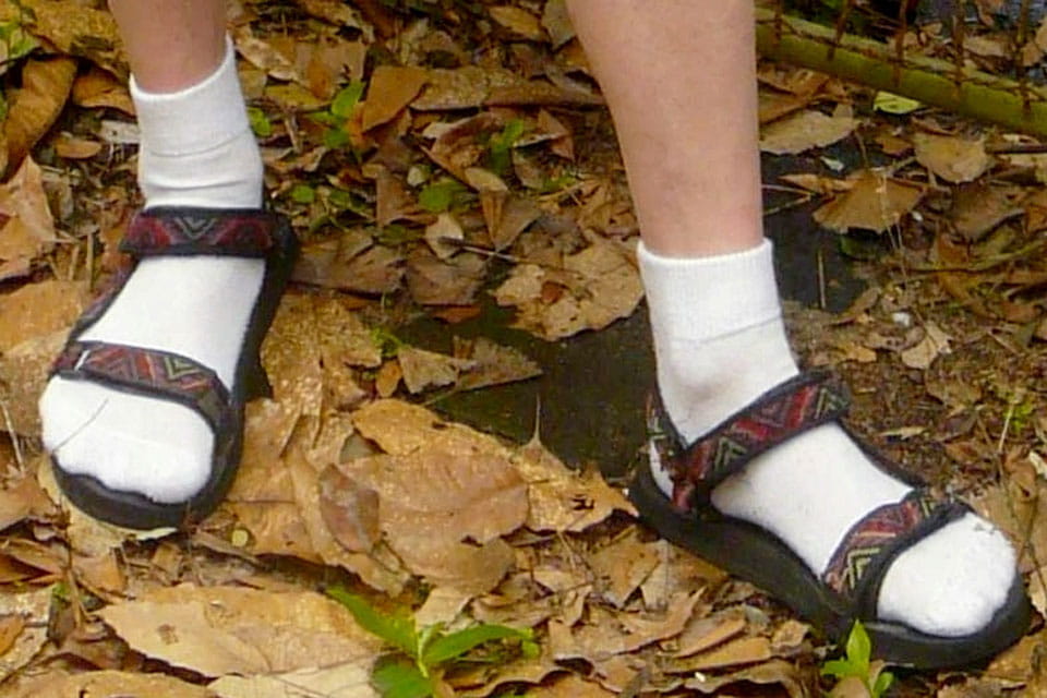 socks and sandals