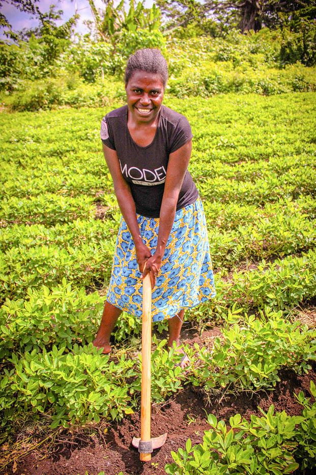 Peanuts are a key cash crop on Tanna, which Nasi Tuan is helping locals to grow again after the cyclone. Photo: Nasi Tuan