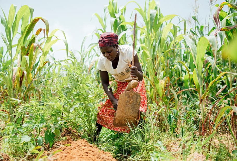 Ruth prepares the ground to plant new crops.