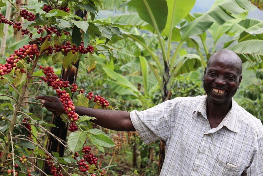 Simon with his coffee crop.