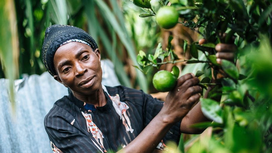 Helena tends to the fruits and vegetables that she grows at home for food and extra income. Credit: Tom Price/Tearfund