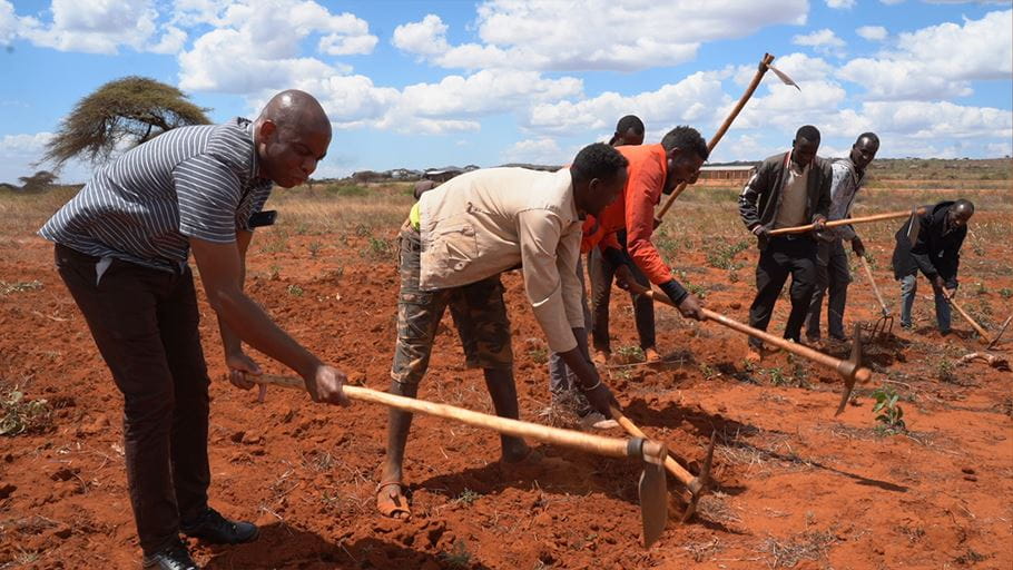 A small group of Ethiopian men till a large, dry field with hoes under a partly cloudy sky.