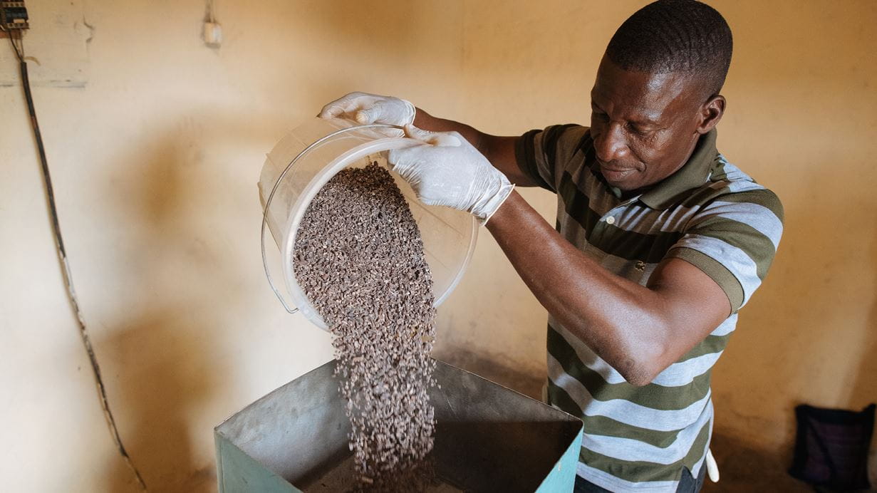 David, a cocoa farmer, at work in his small scale chocolate factory where he produces chocolate from his own cocoa pods. Credit: Tom Price/Tearfund
