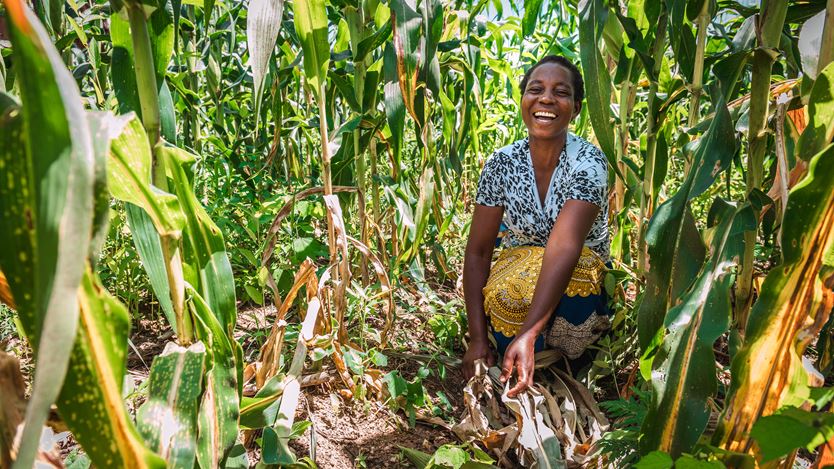 A woman crouches on the ground surrounded by crops, whilst she smiles and holds crops in her hands.