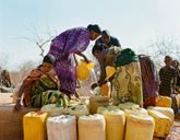 In the foreground there are several yellow containers. Two people are bent over, pouring water into one of the containers. Several other people in the background look on.