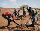 One person is shoveling soil into a sack someone else is holding. Behind them is a wheelbarrow and several other people.