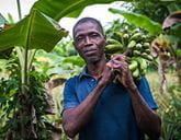 A man carrying a bunch of fruit over his shoulder