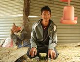 A man squatting down next to chickens in a coop.