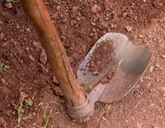 A farming hoe with a wooden handle rests on the ground.