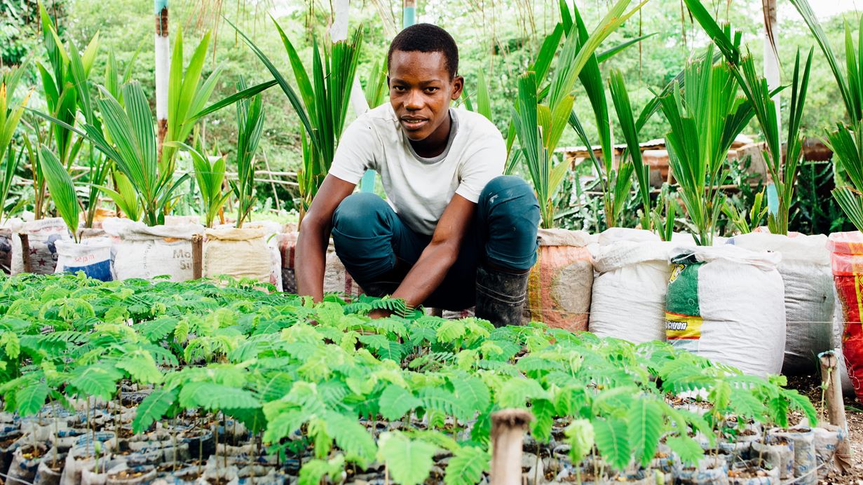 A person crouching down in front of lots of small plants