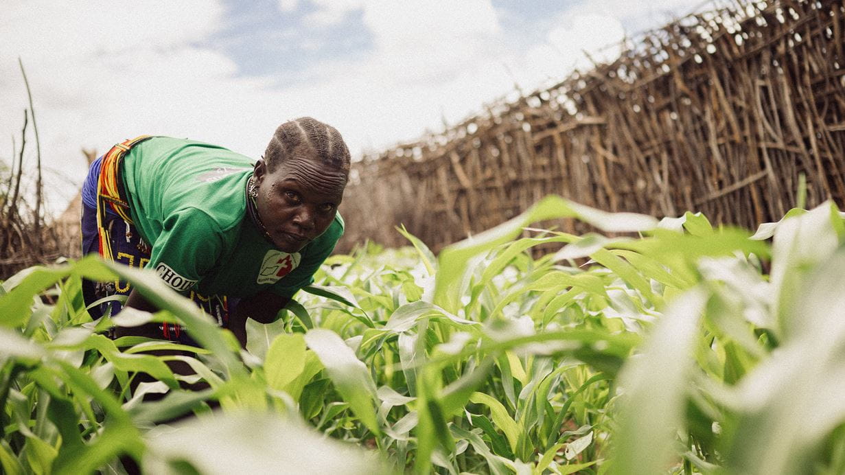 A woman in a green tshirt crouches in a field of young green crops, looking at the the camera.