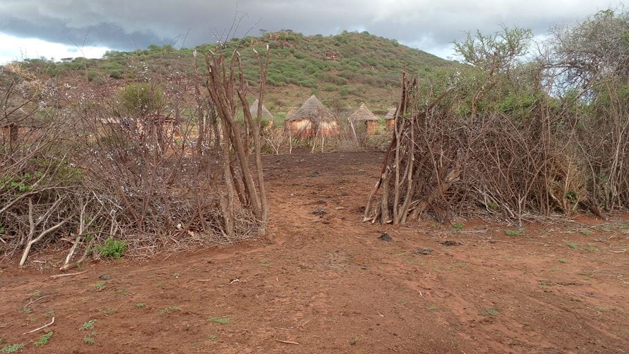 Dry ground and foliage with huts