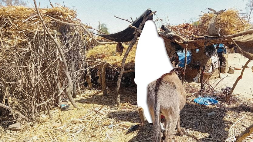 A white cut out of someone standing next to a donkey, amidst crude shelters made of branches and hay in a sunny, dry outdoor setting.