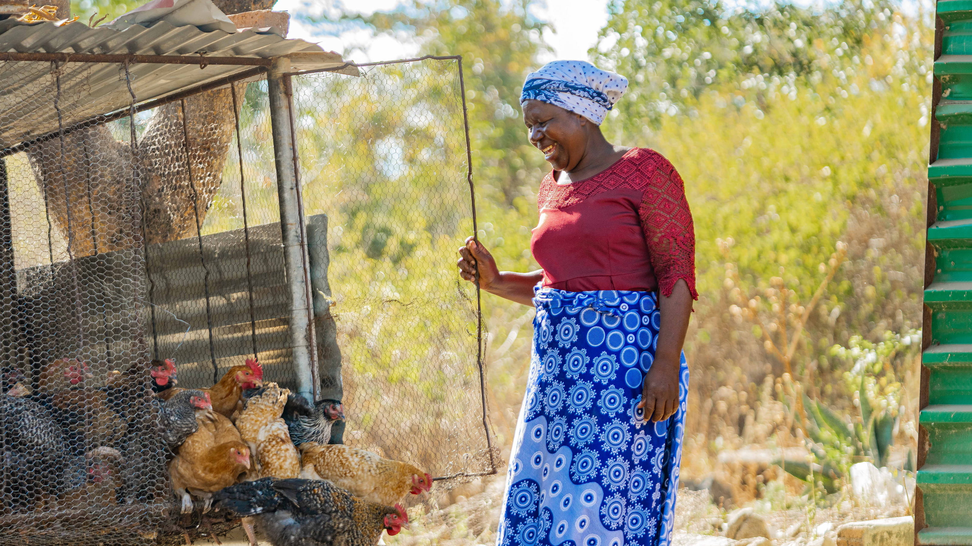 Photo of Kester with her chickens