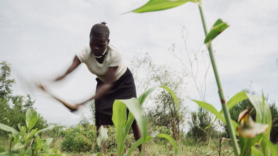 A woman with braided hair actively hoes a field of young green crops, with motion blur on her tool and arms.