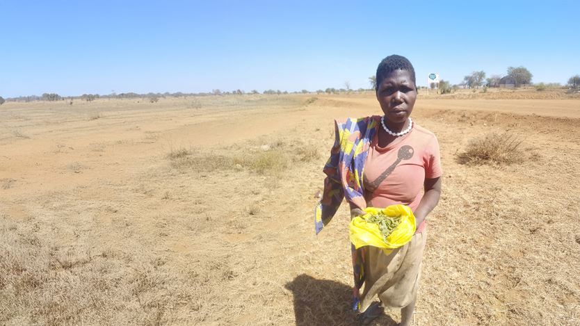 A woman holds a a yellow plastic bag with green leaves in it. Behind her is a vast dirt and grass landscape with trees in the distance.