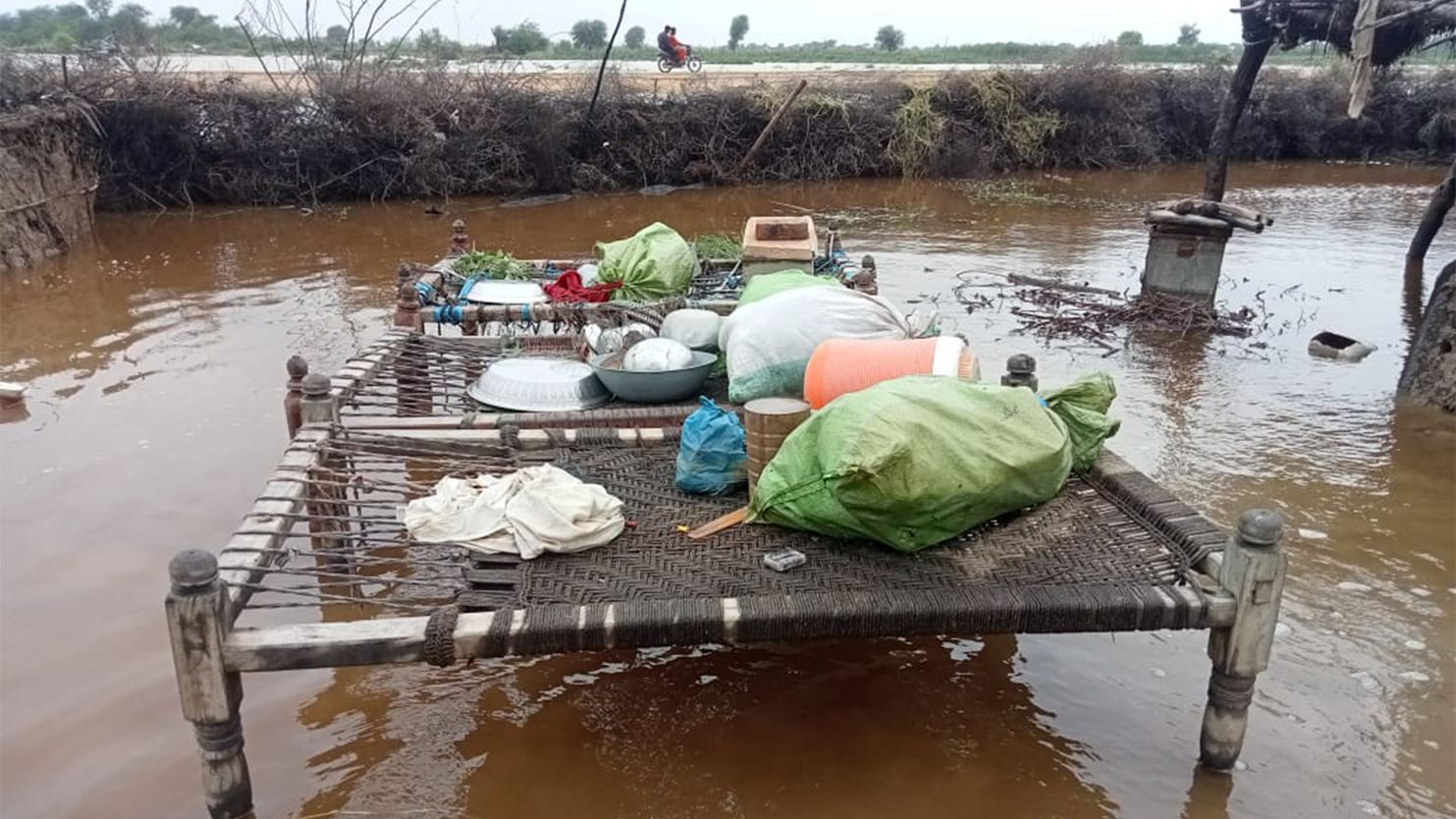 Belonging on top of netted surfaces over murky, flooded water