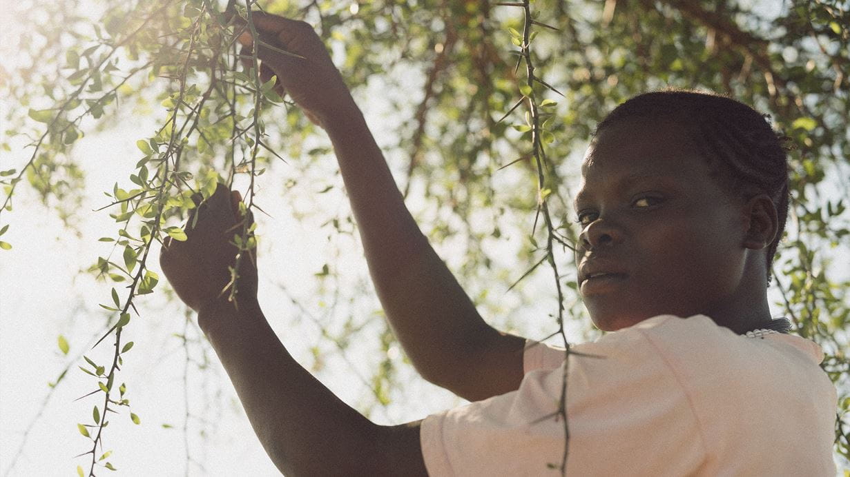 Woman standing below a tree looks at the camera while handling branches against sunlit background.
