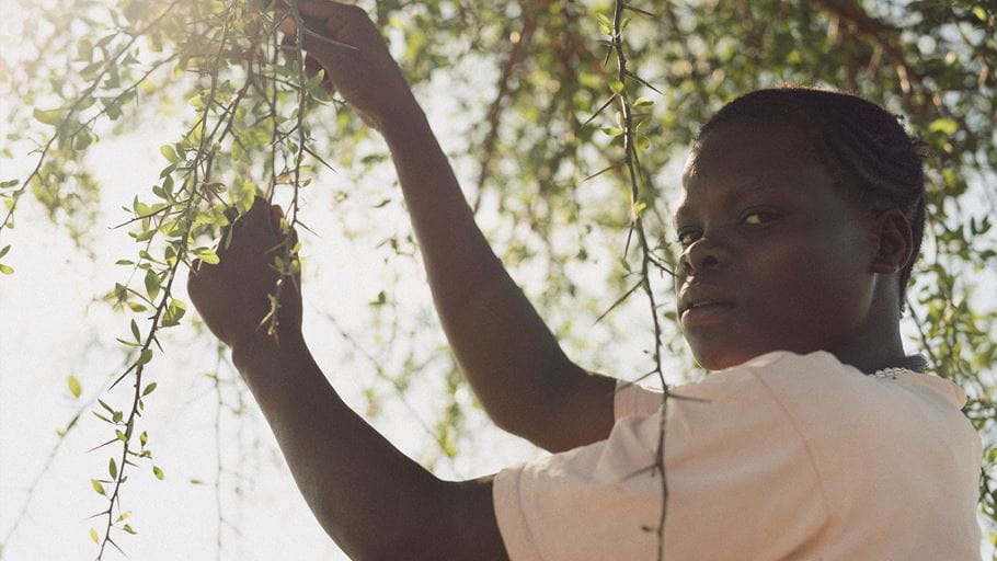 Woman standing below tree branches looks at the camera while handling branches against sunlit background.