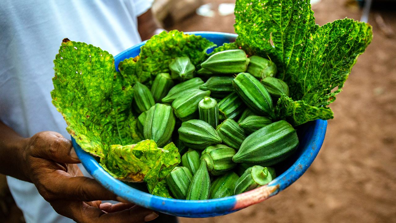 A bowl of green food