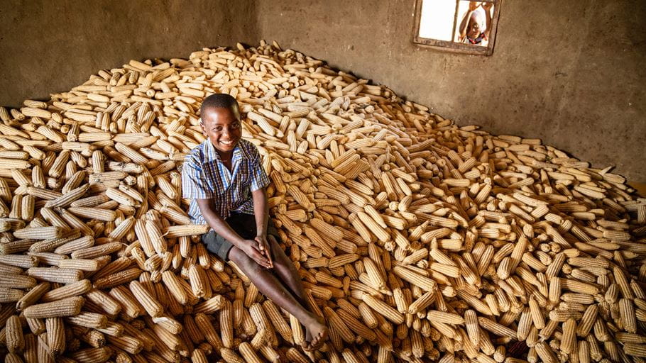 Banda’s son sitting on a maize harvest