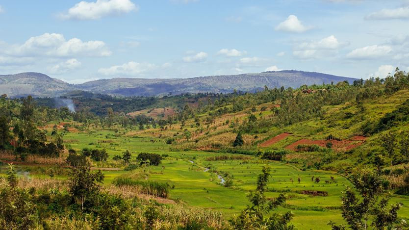 Lush green valley with terraced hills and a stream, under a blue sky with scattered clouds.