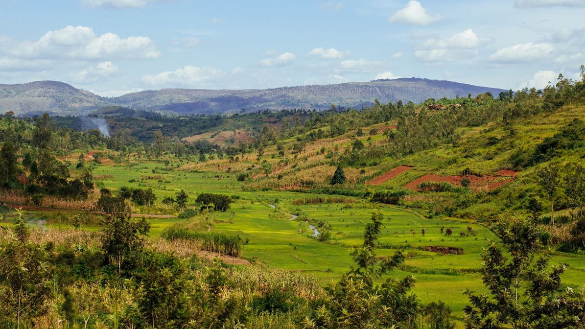 Landscape of green rolling hills