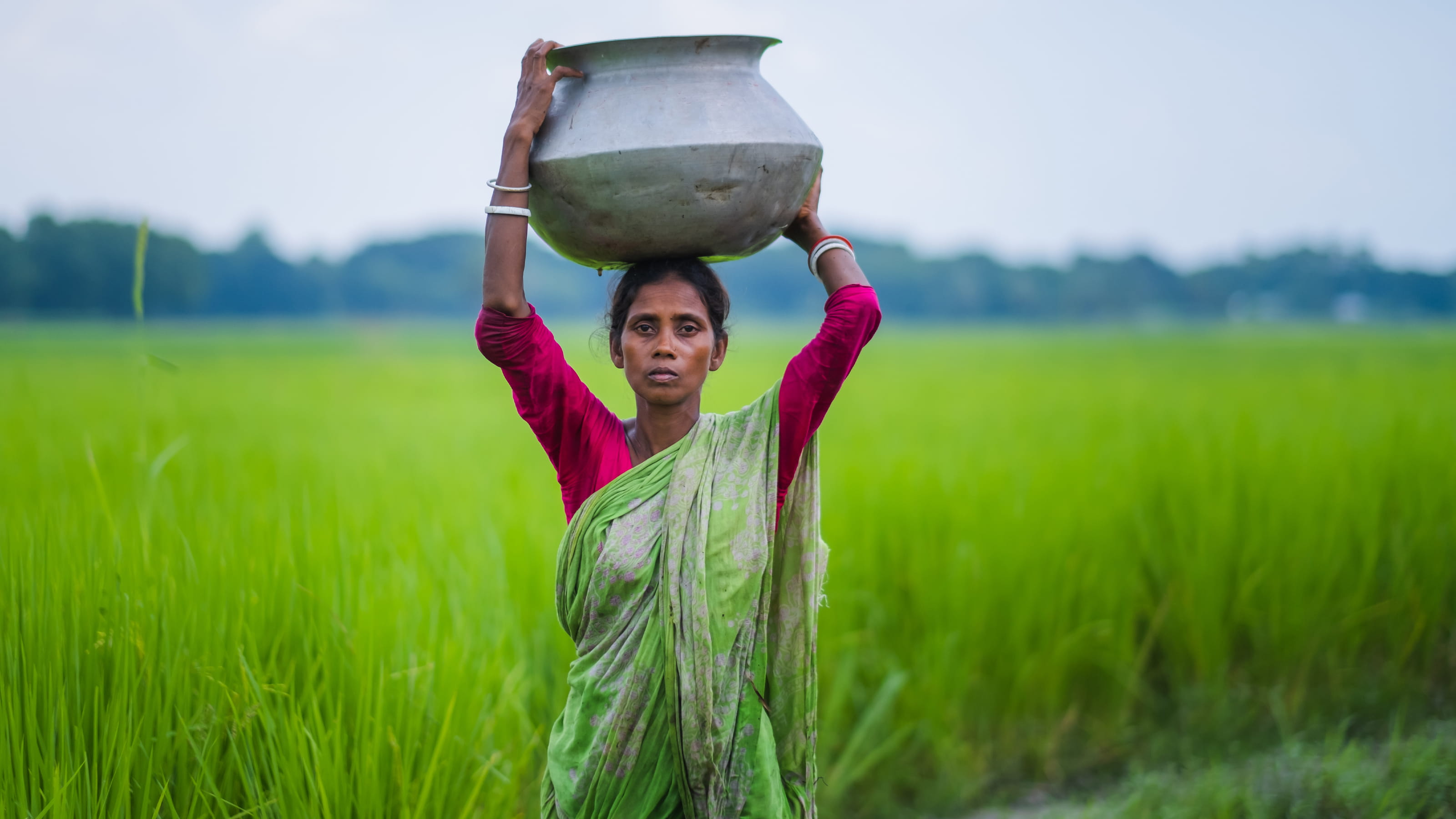 A woman in a field carrying a metal container on her head
