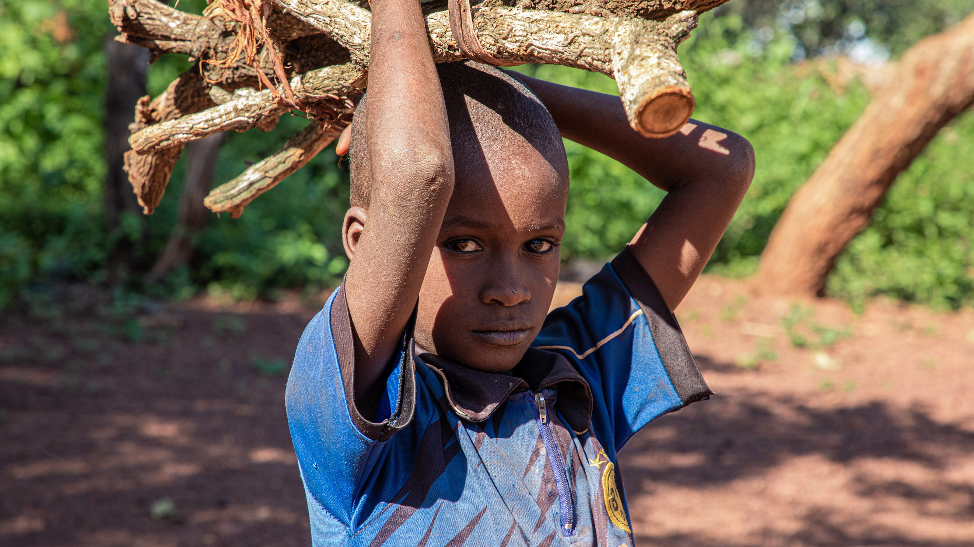 Photo of boy carrying logs. Credit: SAPROD TV/Tearfund