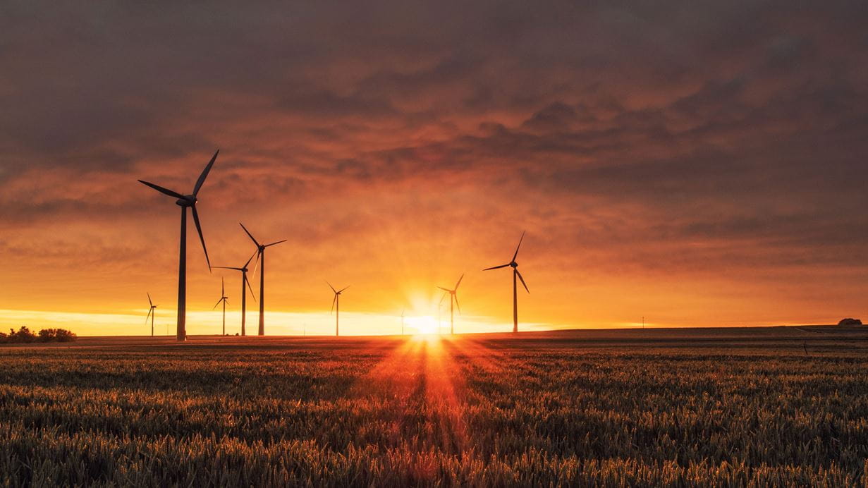 Wind turbines in a field at sunset