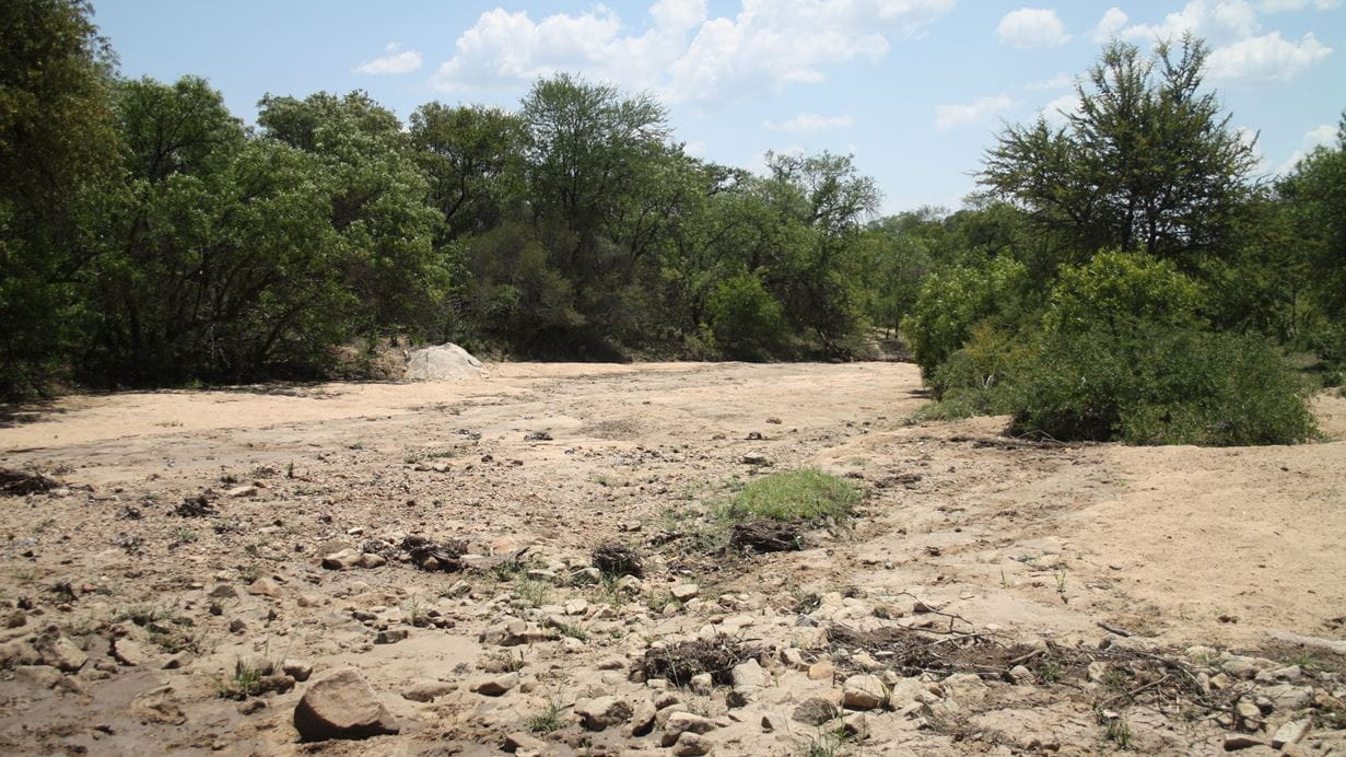 A dried up river in Zimbabwe