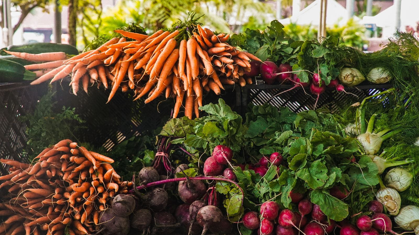 Radish And Carrots (Wendy Wei / Pexels)
