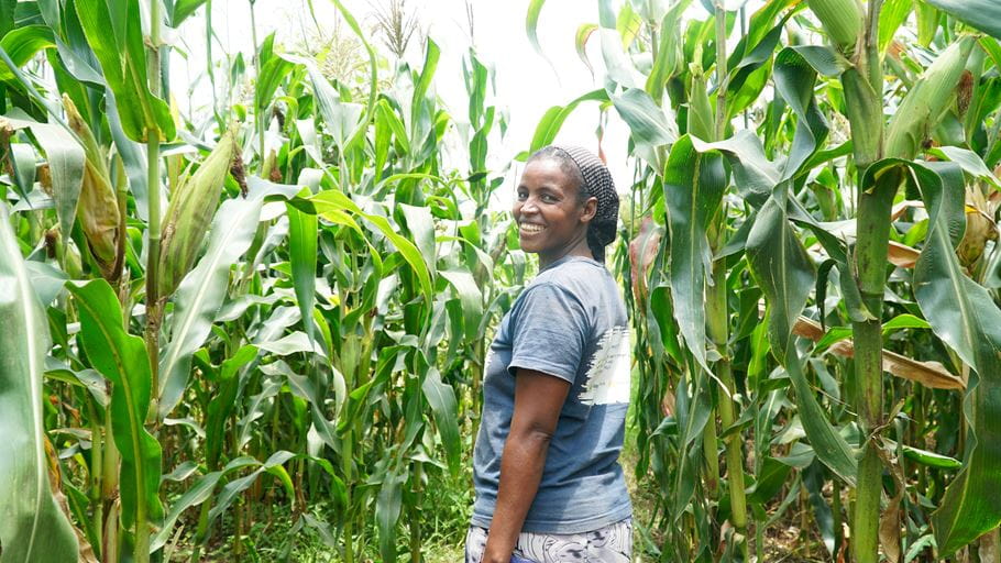 Thabita in her flourishing field of maize | Photo credit: Diane Igirimbabazi/Tearfund