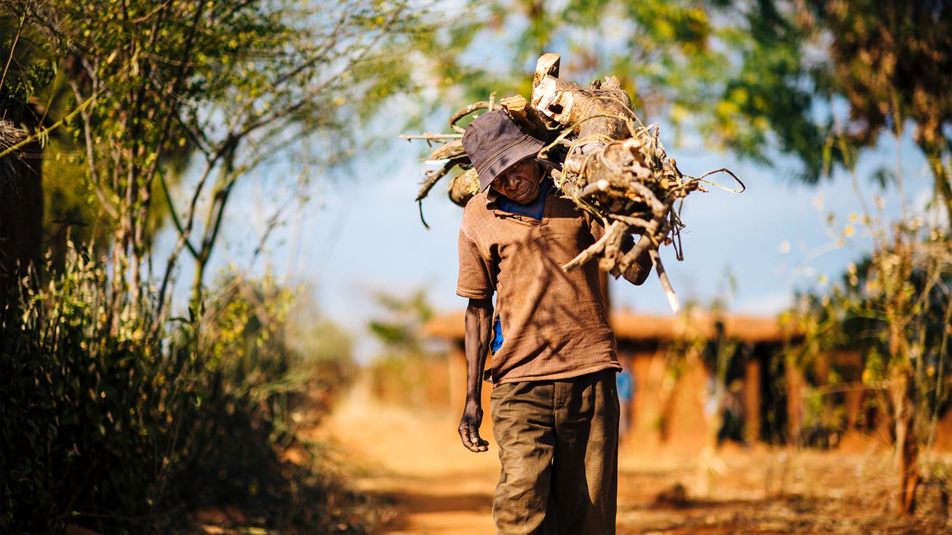 A man in Tanzania gathers wood (Tom Price / Tearfund)