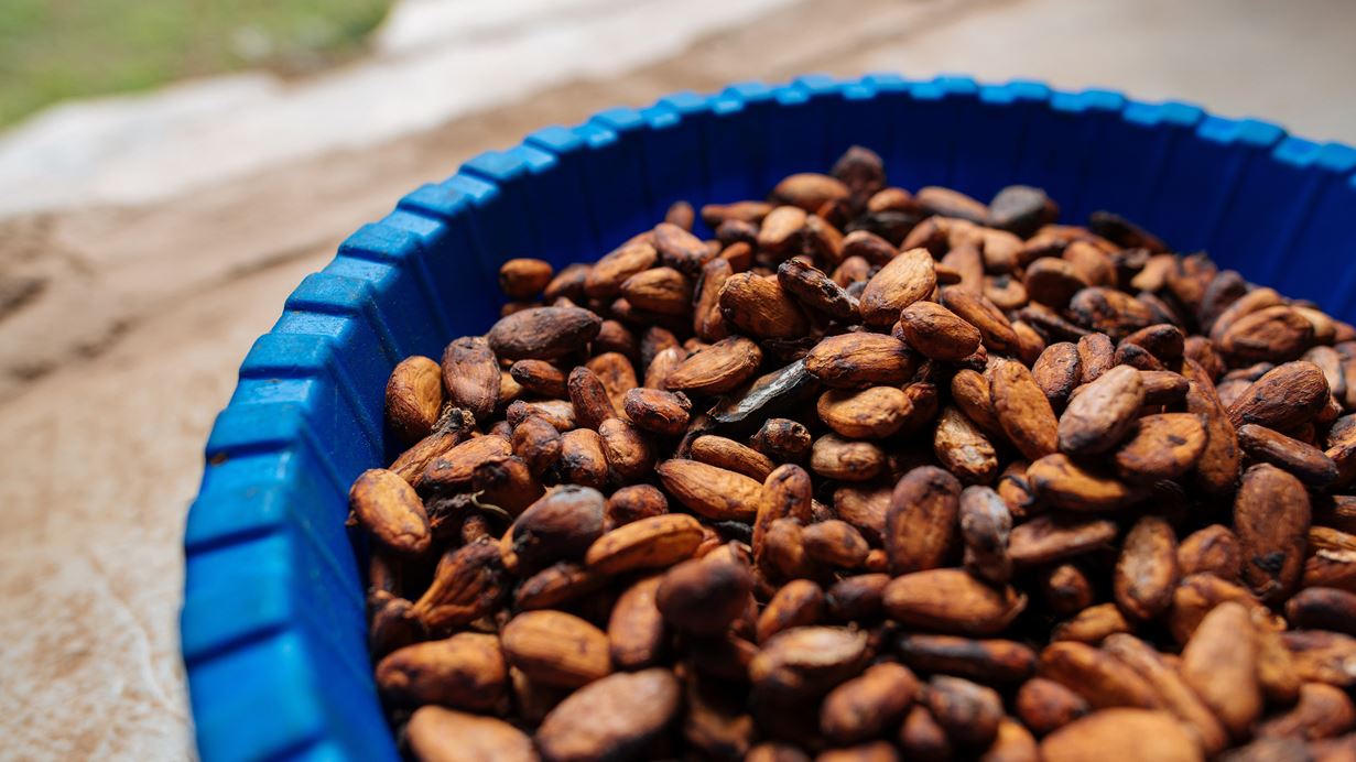 Dried cocoa beans ready for roasting in Ivory Coast | Credit: Tom Price/Tearfund