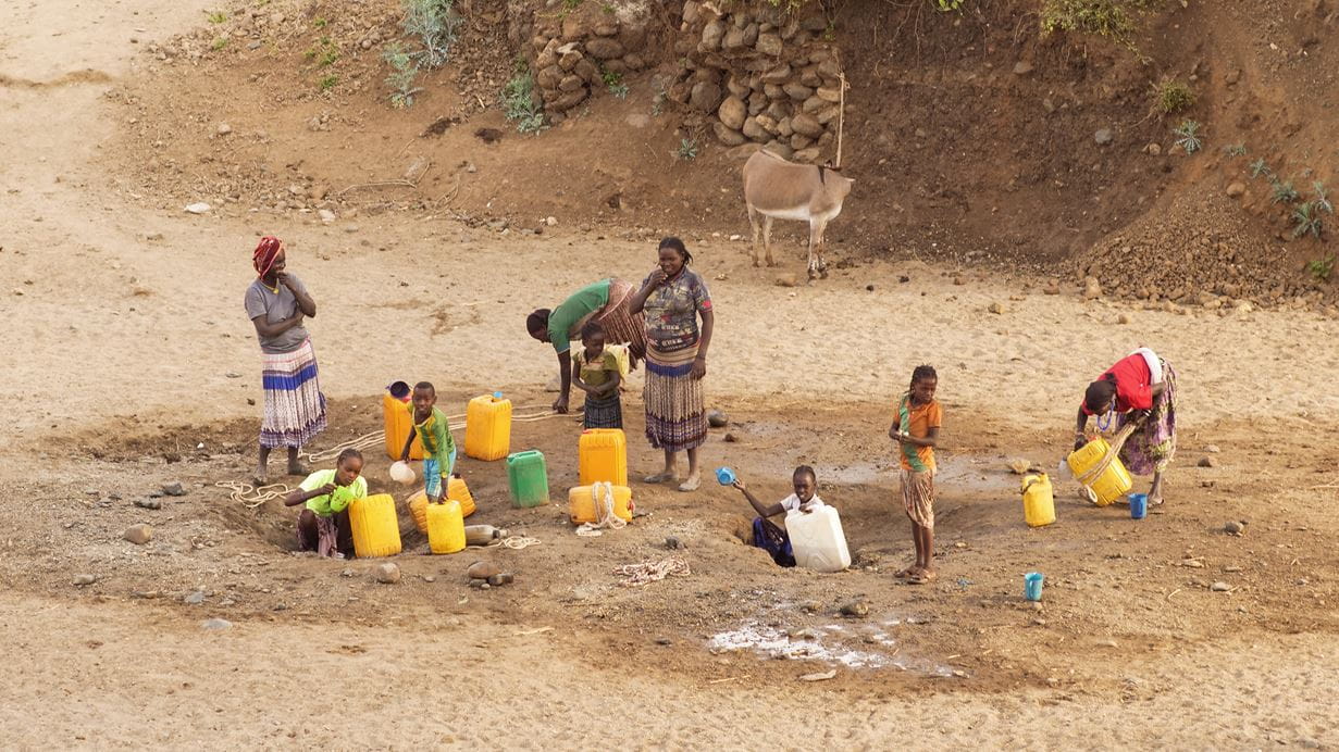 A group of people digging for water