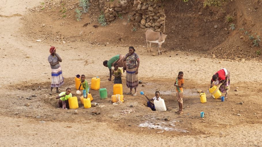 A group of people digging for water