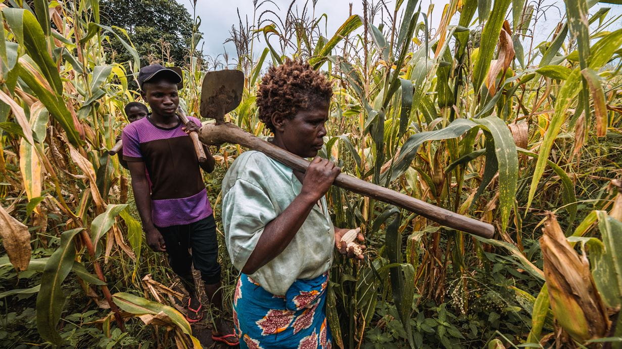 A woman walking through her maize field with a hoe.
