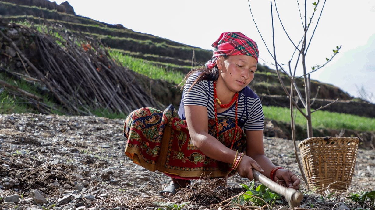 A woman from Nepal working in her field with a spade.