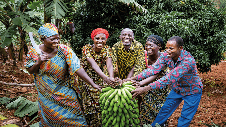 A group of men and women smiling while holding a large bunch of bananas together.
