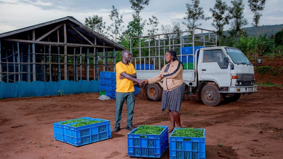 A man and woman shake hands by blue crates full of beans, standing in front of a white truck and a warehouse.