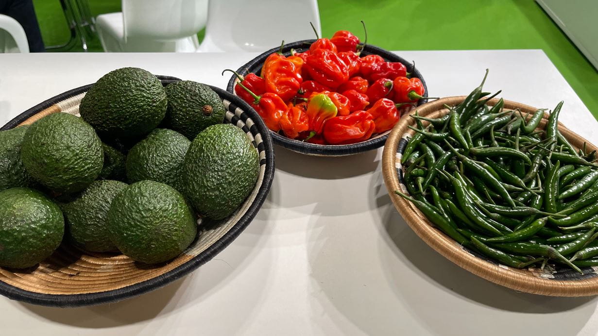 Three bowls containing avocados, green chillis and red peppers sit on a white table at an exhibition stand.