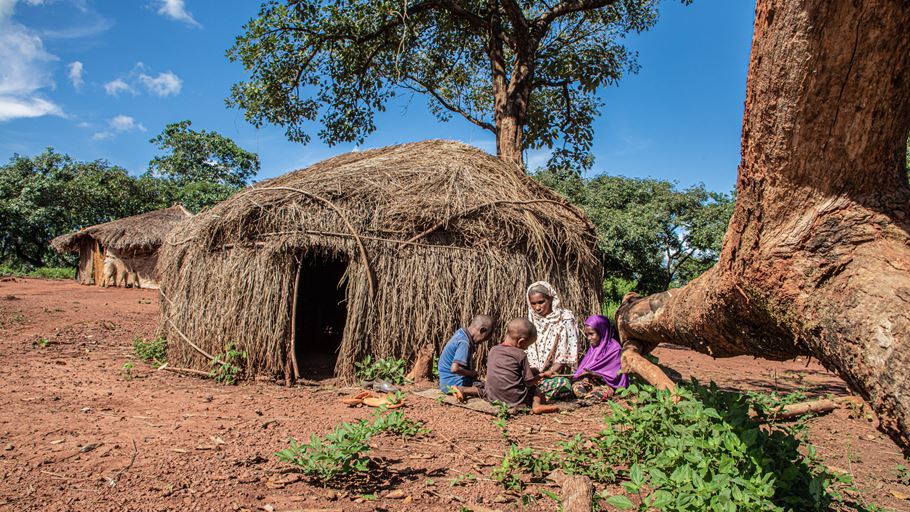 Adama sits together with her three grandchildren in the sunshine outside the house they built of straw and wood after they were forced to flee their home because of conflict.