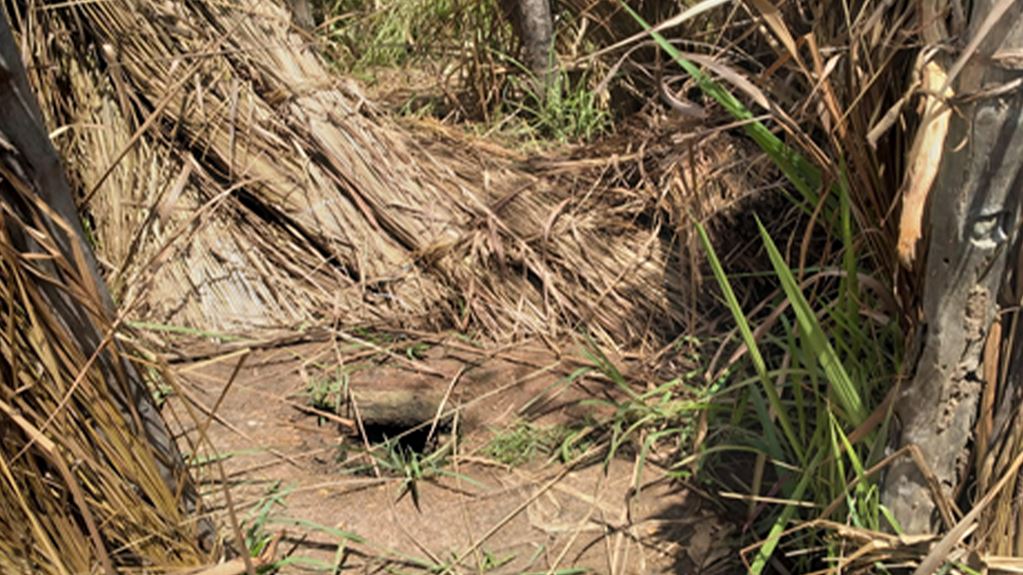 A close up of a pit latrine, a hole in the ground with straw, grass and sticks surrounding it.