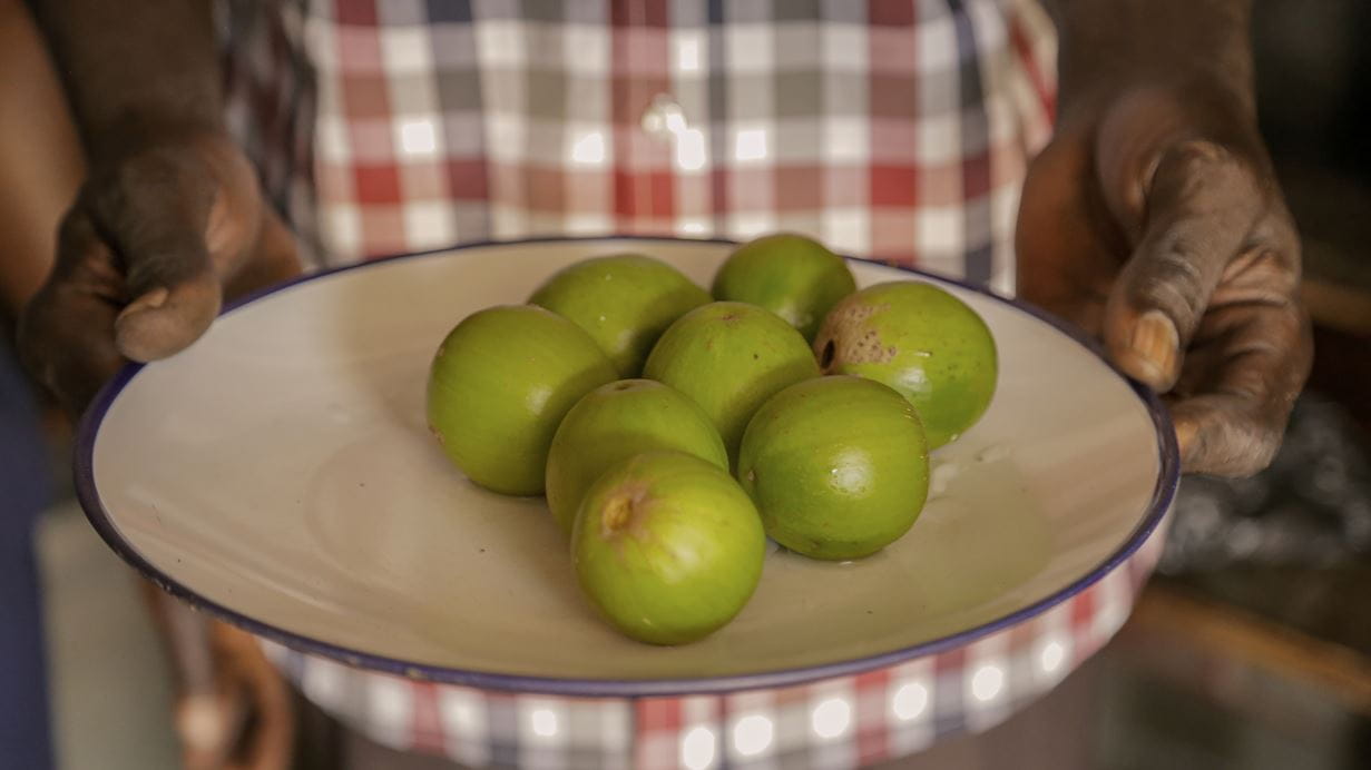 John holds a plate of healthy, fresh, green shea fruit which have been stored in his cool room.